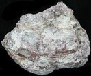 Crystal Filled Dugway Geode #33174-2
